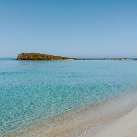 Narcissos Nissi Beach Apartment C16 Ayia Napa Bagian luar foto